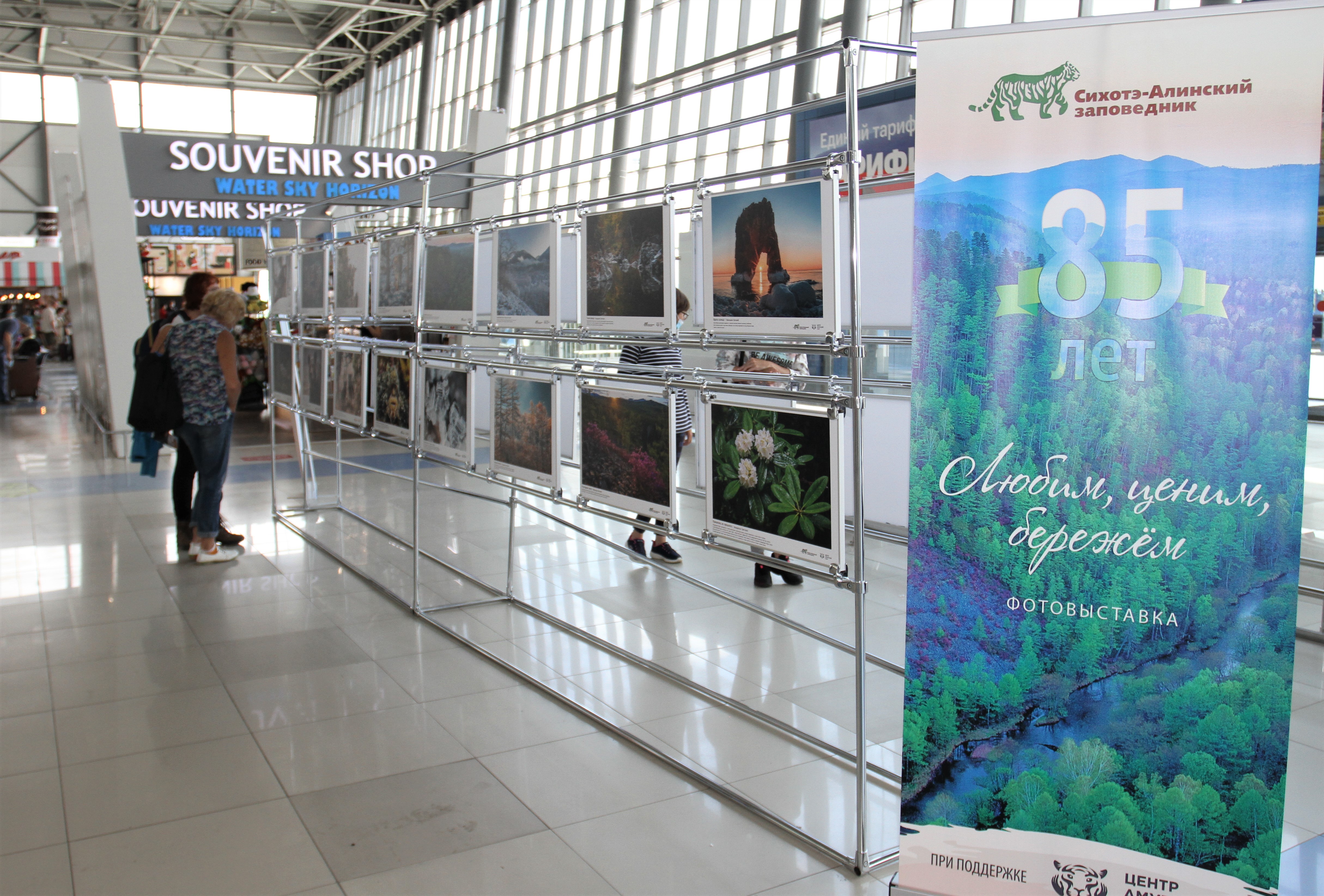 В Международном аэропорту Владивосток открылась фотовыставка о заповеднике Сихотэ-Алиня